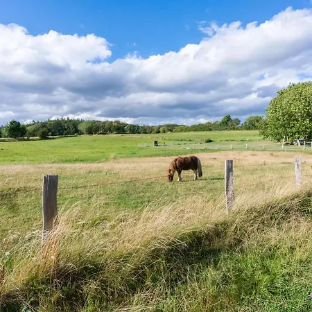 Semesterbostad Karschau 11 Reetdachhaus Am Wasser 90m Privatufer Schlei *