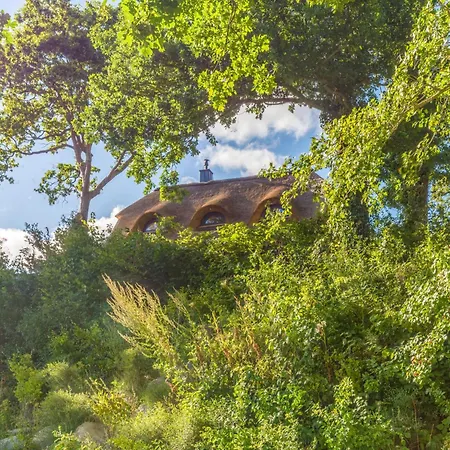 Karschau 11 Reetdachhaus Am Wasser 90m Privatufer Schlei Semesterbostad *